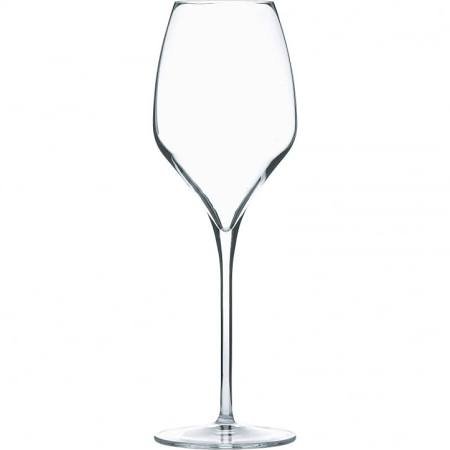 Luigi Bormioli Magnifico Large Crystal White Wine Glass 450mlk (Box of 24)