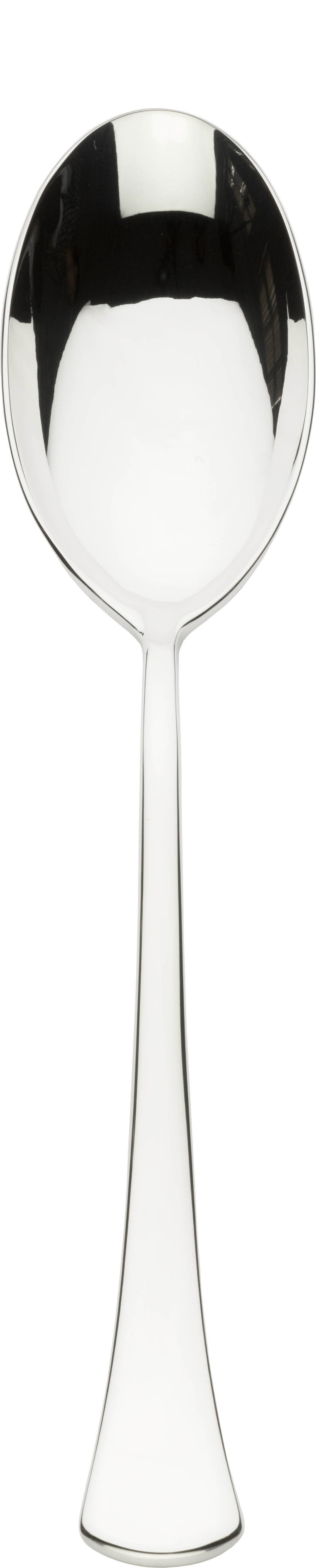 Aquila Table Spoon