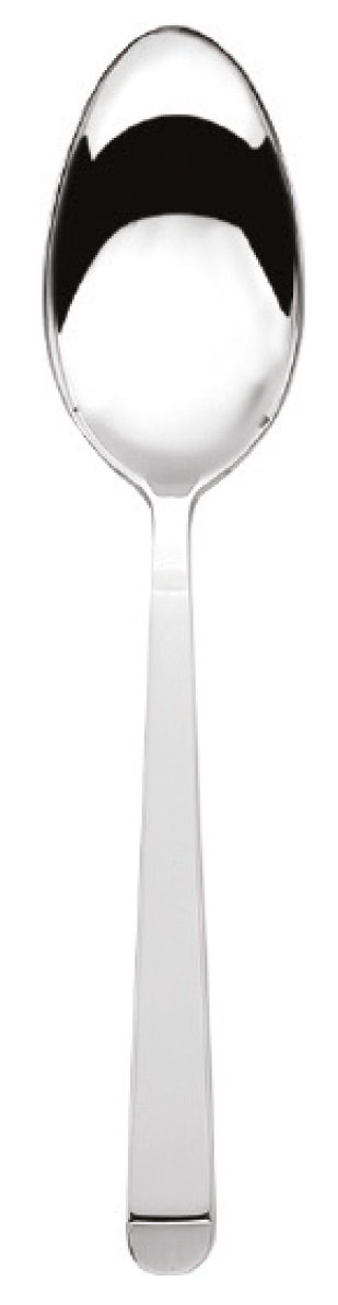 Equinox Table Spoon