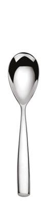 Levite Teaspoon